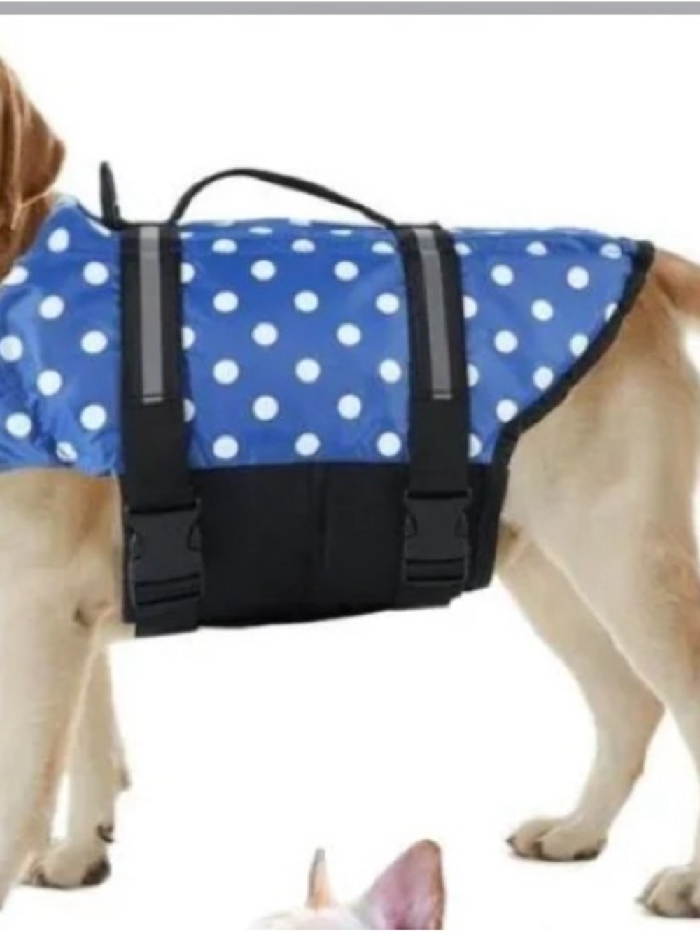 Blue Polka Dot Dog Life Jacket - Secure Float Vest